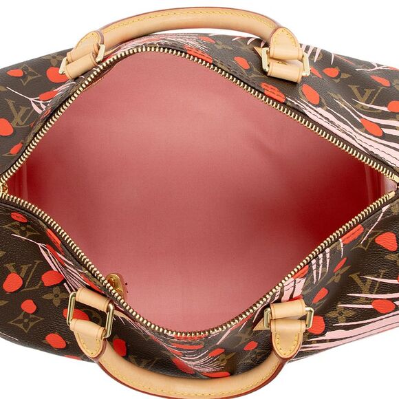 Louis Vuitton Limited Edition Monogram Canvas Jungle Dots Speedy 30 Satchel - Picture 7 of 16